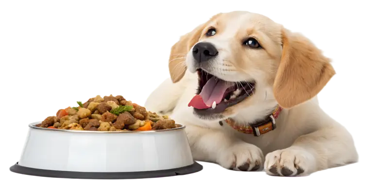 Happy puppy lying next to a bowl of dog food with its mouth open.